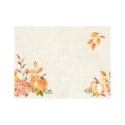 SET DE TABLE BIO DUNICEL SPICY PUMPKIN 30X40CM (5X100) photo du produit