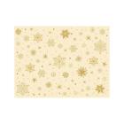 SET DE TABLE PAPIER STARGAZING CREAM 30X40CM (4X250) photo du produit