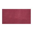 SET DE TABLE TORK PAP. BORDEAUX 30X42CM (5X500) photo du produit