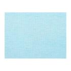 CHIFFON D'ESSUYAGE ESSUINET X75 BLEU 30X34CM PLIE (8X25) photo du produit