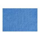 FOOD WIPES BLEU PLIE 34X38CM (25X25) photo du produit