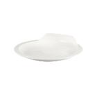 ASSIETTE ASSISTANCE COPOLYESTER A.M.C. BLANCHE D.240H.57MM (1X17) photo du produit