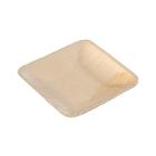 ASSIETTE CARREE PALMIER 150X150X14MM (12X20) photo du produit
