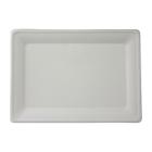ASSIETTE RECTANGULAIRE CANNE A SUCRE BLANC 200X280MM (8X40) photo du produit