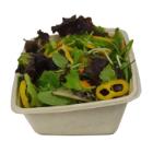 RAVIER SLOPE CANNE A SUCRE NATUREL 160X230X70MM - 950ML (4X75) photo du produit