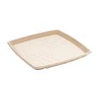 PLATEAU PULPE CANNE A SUCRE NATUREL 40X40CM (1X25) photo du produit