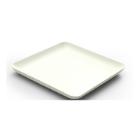 BAGASTRO ASSIETTE CANNE A SUCRE BLANCHE 160X160X15MM (12X40) photo du produit