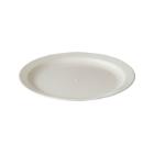 ASSIETTE RONDE PLATE POLYCARBONATE BLANCHE D.254 H.25MM (1X32) photo du produit