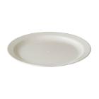ASSIETTE RONDE PLATE POLYCARBONATE BLANCHE D.254 H.25MM (1X40) photo du produit