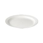 ASSIETTE RONDE PLATE POLYCARBONATE BLANCHE D.220MM (1X12) photo du produit