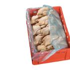 SAC HDPE TRSP 25mu 60X42X62CM POUR BAC ALIMENTAIRE (1X500) photo du produit