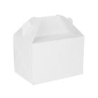 LUNCH/PARTYBOX GOLFKARTON NANO WIT 180X120X90MM (100) artikelfoto