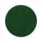 DISQUE VERT 11INCH 28CM (5) photo du produit