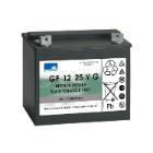 BATTERIJ 12V 25AH VOOR TASKI SWINGO 350 B (1) artikelfoto