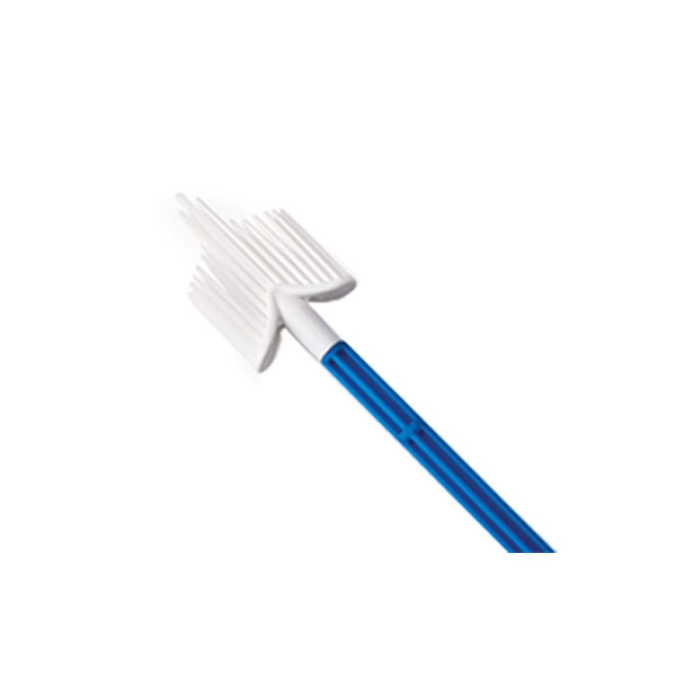 KING-NL-Cervix