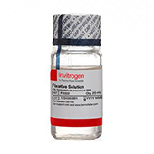 KING-NL-Formaldehyde