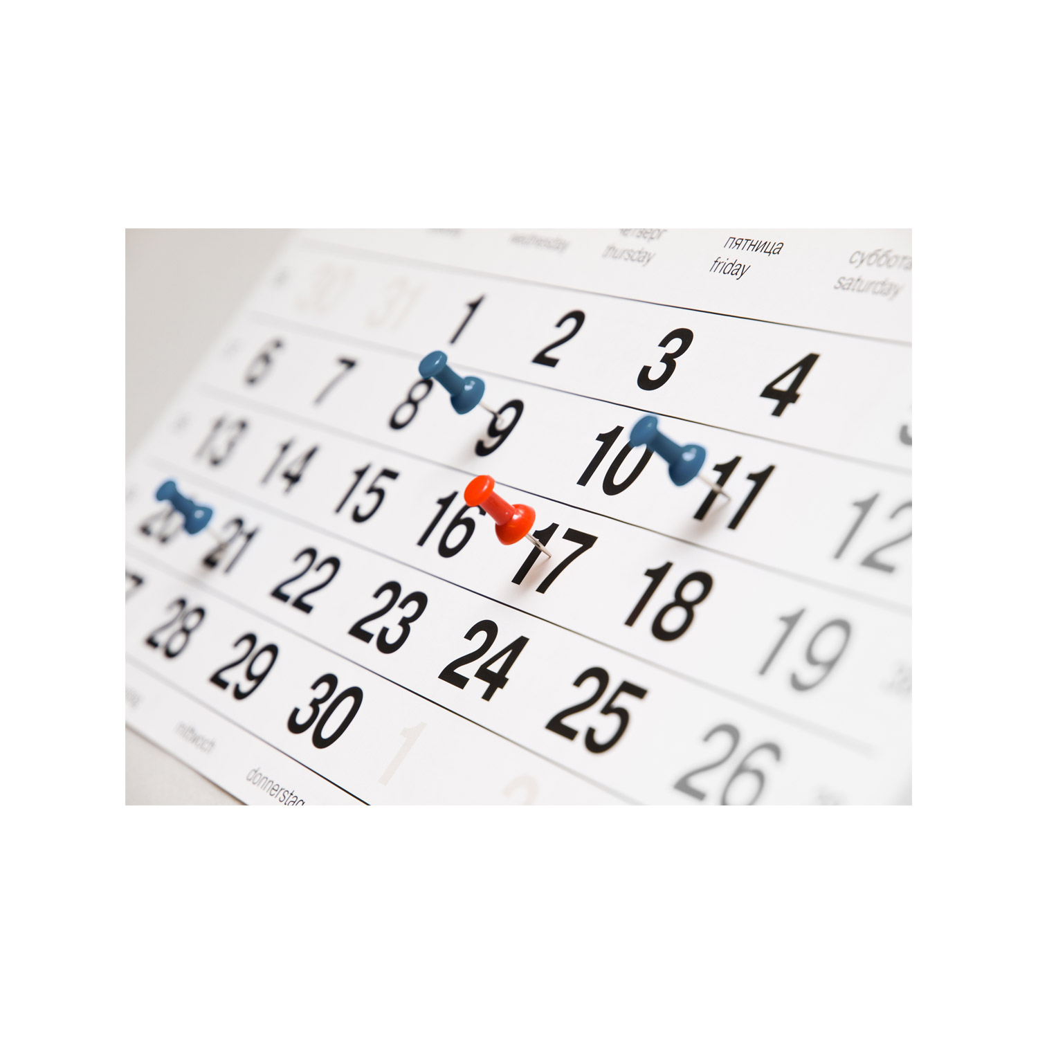 KING-NL-Kalender