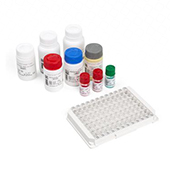 KING-NL-Microbiologietesten