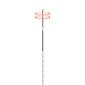 KING-NL-Phlebology
