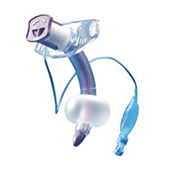 KING-NL-Trachea