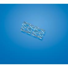 Pre-mounted PALMAZ GENESIS Stent .035 9.0x39 80 Artikel foto