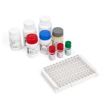 Serion elisa classic bordetella pertussis toxin IgG Artikel foto
