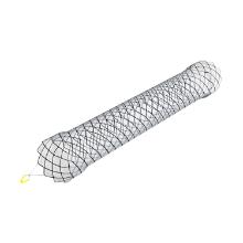 Evolution Biliary Controlled-Release Stent - Fully Covered 10mm 6cm Artikel foto