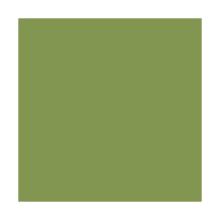 Servet leaf green 3 laags tissue 33x33cm Artikel foto
