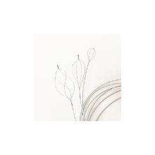 Olympus extractiemand flowerbasket 8-draads steen 20mm distaal geleide fg-v431p Artikel foto