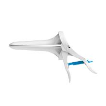 Bridea orchid speculum open wit medium roze Artikel foto