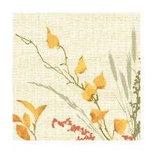 Dunisoft servet 40x40cm Fall Beauty Artikel foto