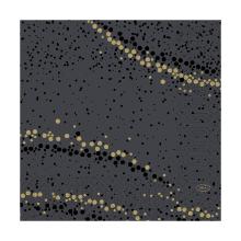 Duni tissue servet 33x33cm Golden Stardust Black 3-laags Artikel foto