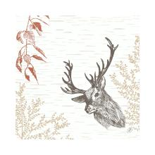 Servet Wood and Deer Bio Dunisoft 40x40cm Artikel foto