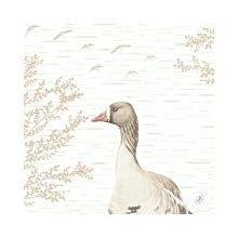 Servet Wood and Goose Bio Dunisoft 40x40cm Artikel foto
