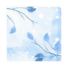 Servet Frosted Winter Dunisoft 40x40cm Artikel foto