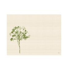 Bio Dunicel placemat 30x40cm Green Umbles Artikel foto