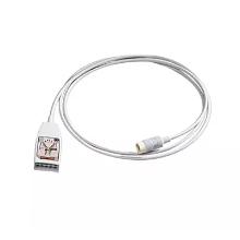 1 0 Lead ECG Trunk AAMI/IEC 2m Artikel foto