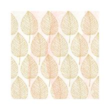 Aspen servet BIO Dunisoft 40x40cm Artikel foto