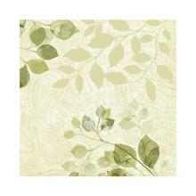 Servet BIO Dunisoft 40x40cm Paisley Artikel foto