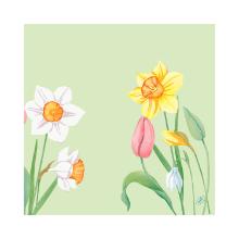 Servet BIO Dunisoft Spring Melody 40x40cm Artikel foto