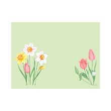 Placemats BIO Dunicel Spring melody 30x40cm Artikel foto