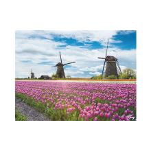 Placemat 30x40cm papier 60g Molen Tulpen King Artikel foto