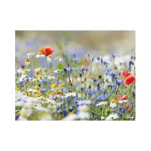 Placemat zomer veldbloem papier 30x40cm 60g King Artikel foto