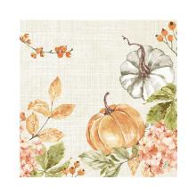 Servet BIO DSF 40X40CM Spicy Pumpkin Artikel foto