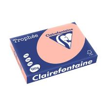 Clairefontaine troph&eacute;e 1243C gekleurd A4 papier 120gr perzik Artikel foto