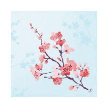 Servet Cherry Breeze Blue Bio Dunisoft 40x40cm Artikel foto