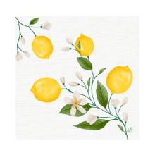Servet Lemon Fiesta Bio Dunisoft 40 x 40 cm Artikel foto