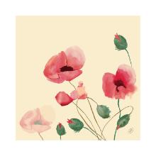 Servet Poppy Charm Bio Dunisoft 40x40cm Artikel foto
