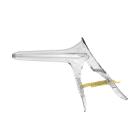 Orchid Spec Clear Virgo (yellow) Artikel foto