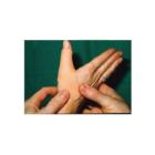 ThermoFit Non Sticky 60x43cm micro beige 1,6mm Artikel foto
